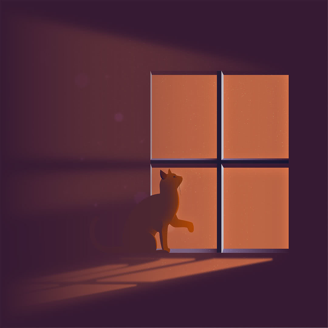 illustration of cat in window